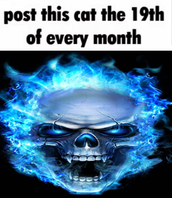 Skeletons posting (@skeletonposts) on Twitter photo  Skeletons posting (@skeletonposts) on Twitter photo