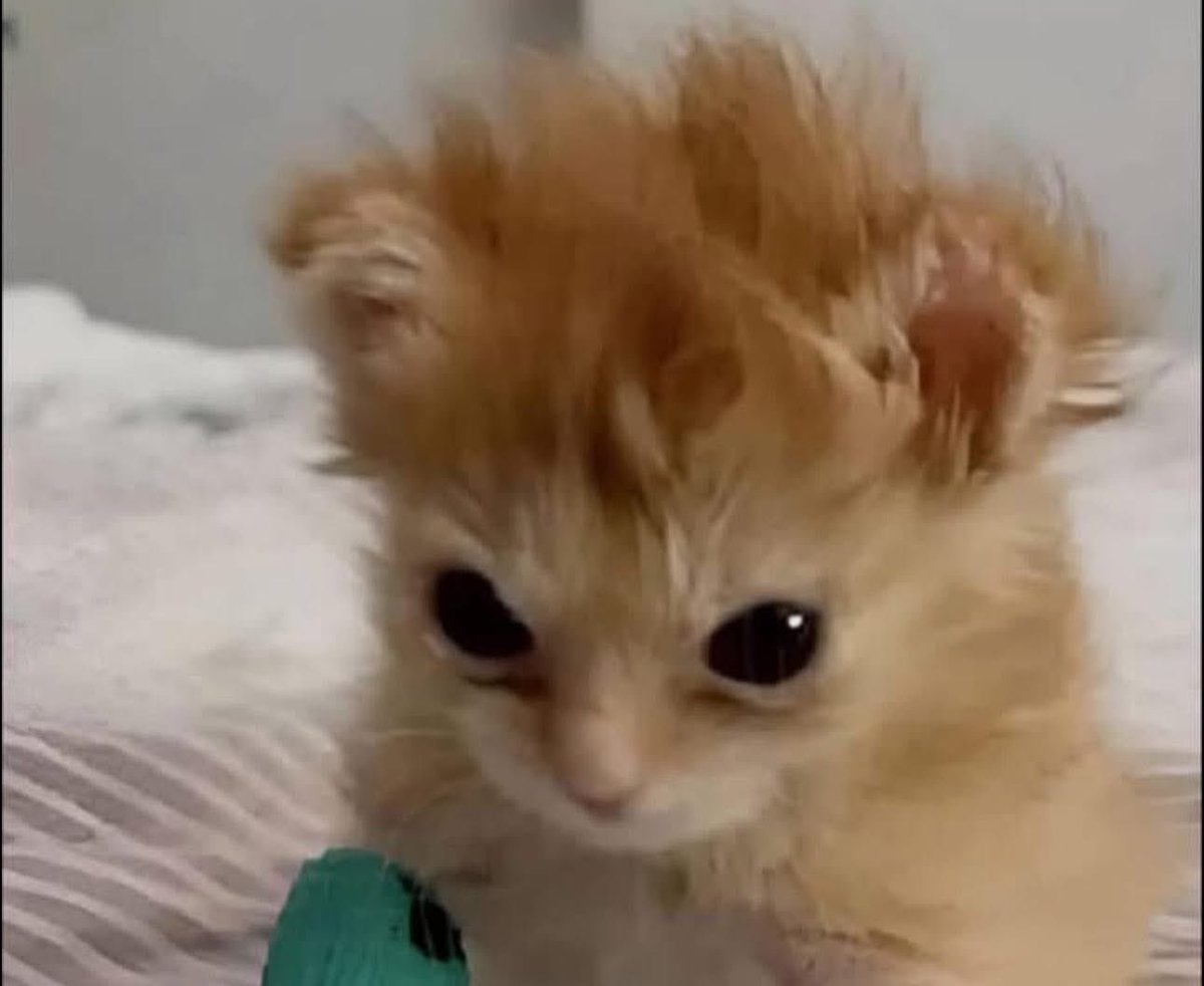 Cuando llego en la moto y me quito el casco: