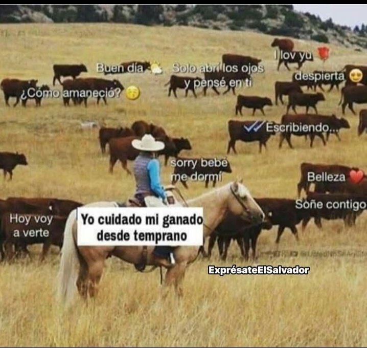 _popcornGirl_'s tweet photo. Todos los hombres 😒#todosmienten💔 #putostodos https://t.co/6OVvJ2G8bD