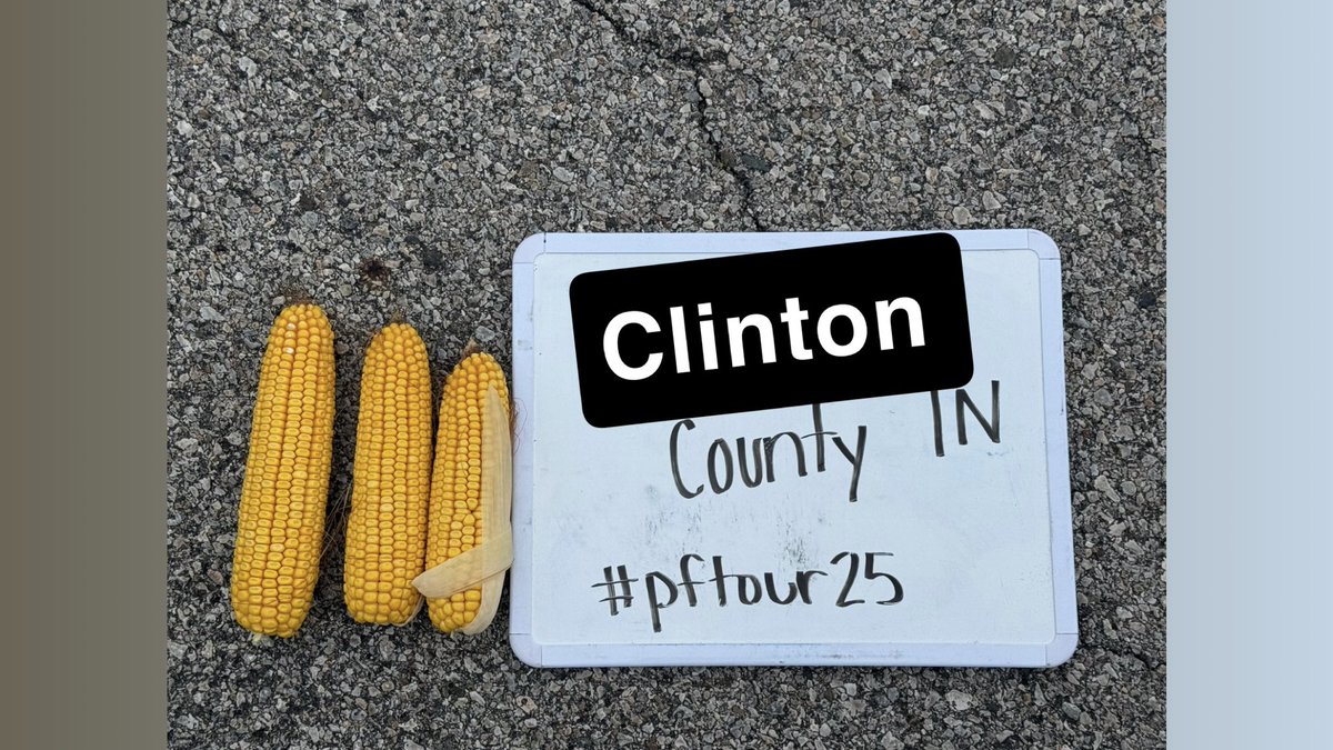 Clinton County Indiana - West of Frankfort. Yield estimate 229.9 - best field we saw all day. Best avg kernels around with a good population. 
#pftour25