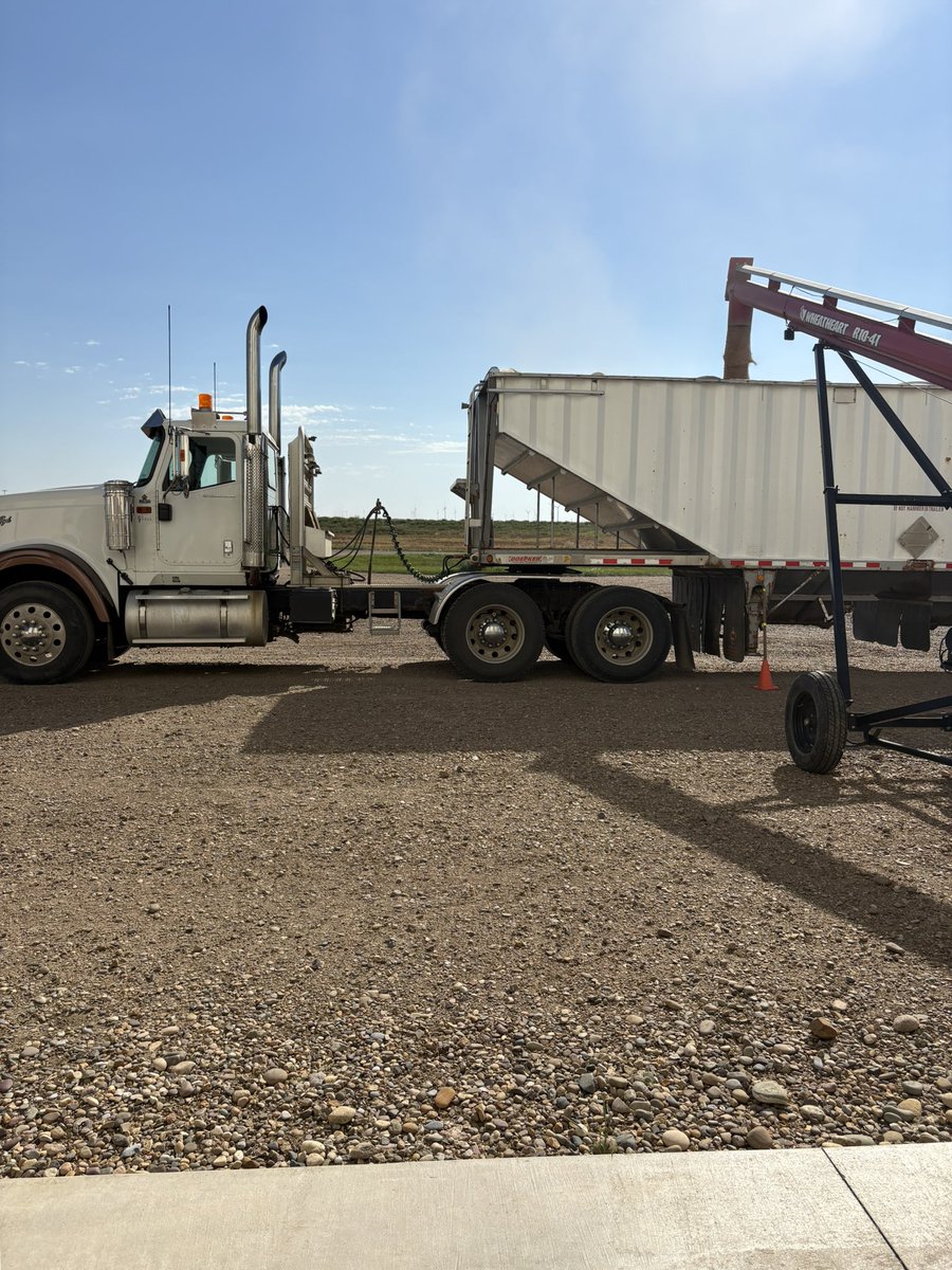 Cleaning AAC Overdrive Winter Wheat
PUT YOUR YIELDS INTO OVERDRIVE

The early maturing winter wheat everyone is waiting for!

MR to Fusarium 
Good Stand-ability 

Call Crooymans Family Seed Farms
#agtwitter
#SeCan
