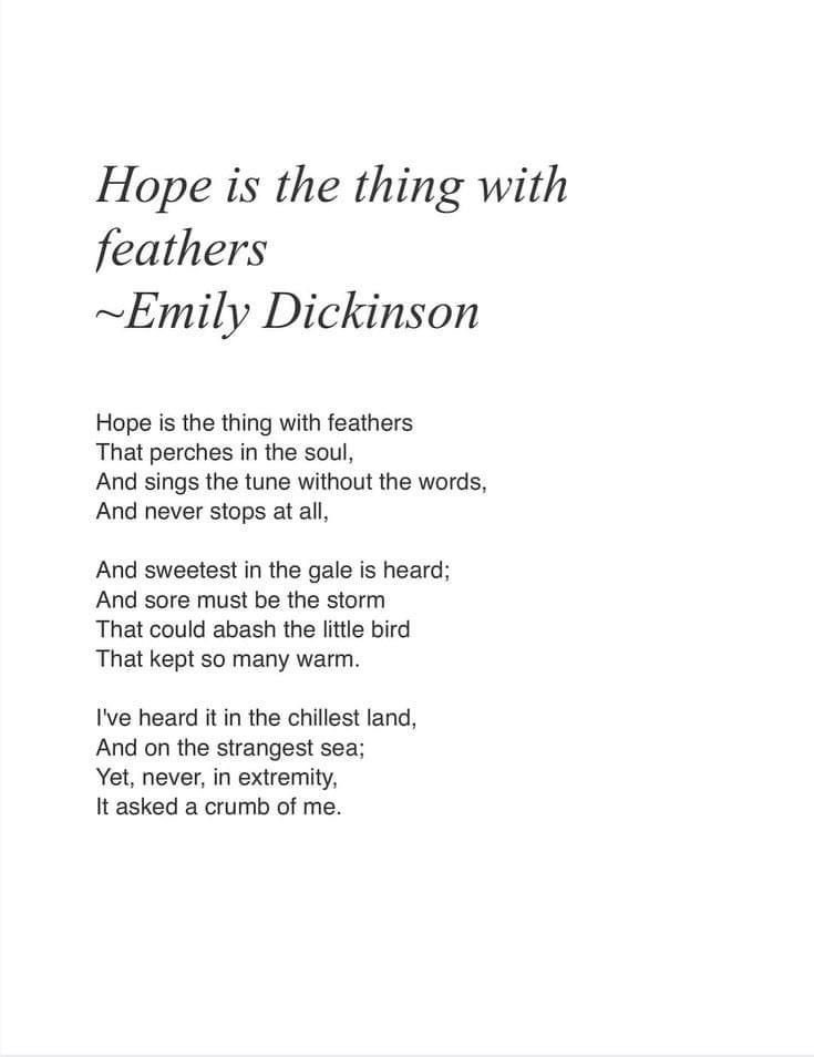 goddessofdmoon's tweet photo. half agony, half hope 🪶 https://t.co/DEQLkfC3nS