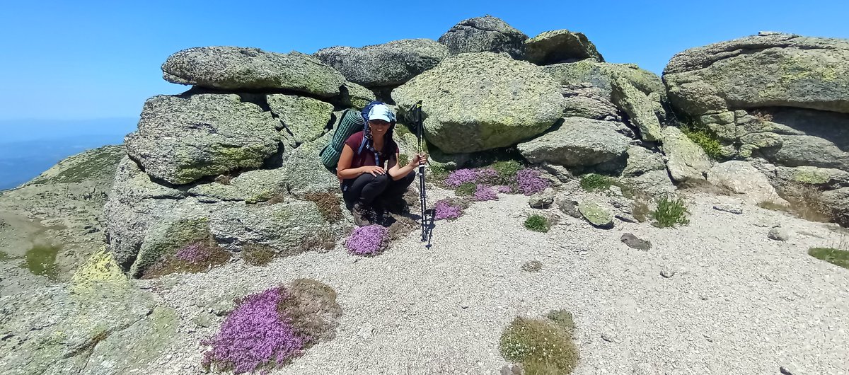 #IFCandelario

Se quema la Sierra de Candelario. Bueno para frenar el #IFJarilla, por la poca vegetación. Pero cada planta que sobrevive ahí es una joya botánica😭. 
Que pare ya.