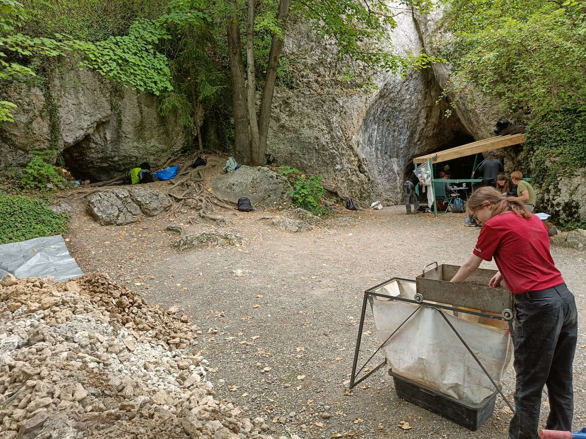 Exeter Archaeology tweet media