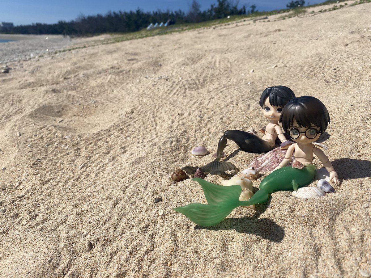patient_asami's tweet photo. Summer time🧜‍♂️ https://t.co/P47KU8FaJP