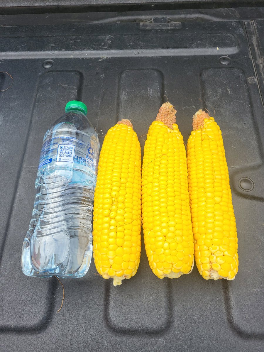 OGTCHedger tweet media