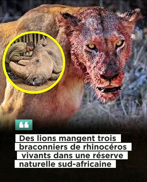 ChasseAbolition's tweet photo. #GoodNews https://t.co/EqMkXn6FvB