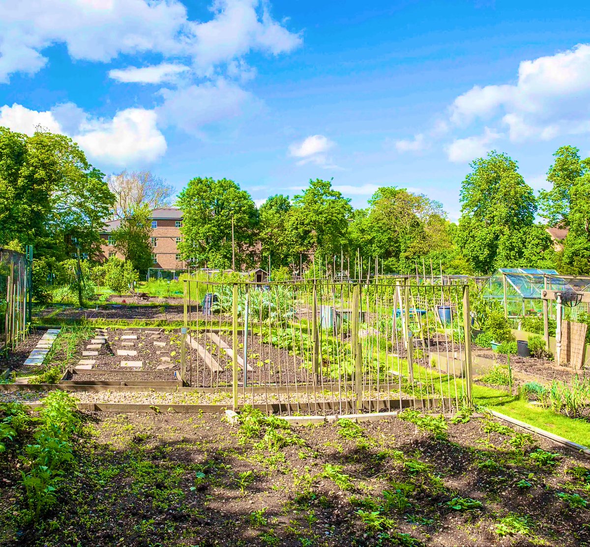 Kam Rai (@kamrai7) on Twitter photo We're proud of our green spaces in Redbridge & want to protect them. That's why we're preserving & expanding our allotments.
Did you know
🥕We've got 24 allotment sites
🌻All our sites are full
🍓 So we’re planning more plots on Fairlop Plain
Read more ➡️ bit.ly/3HGebsU We're proud of our green spaces in Redbridge & want to protect them. That's why we're preserving & expanding our allotments.
Did you know
🥕We've got 24 allotment sites
🌻All our sites are full
🍓 So we’re planning more plots on Fairlop Plain
Read more ➡️ bit.ly/3HGebsU