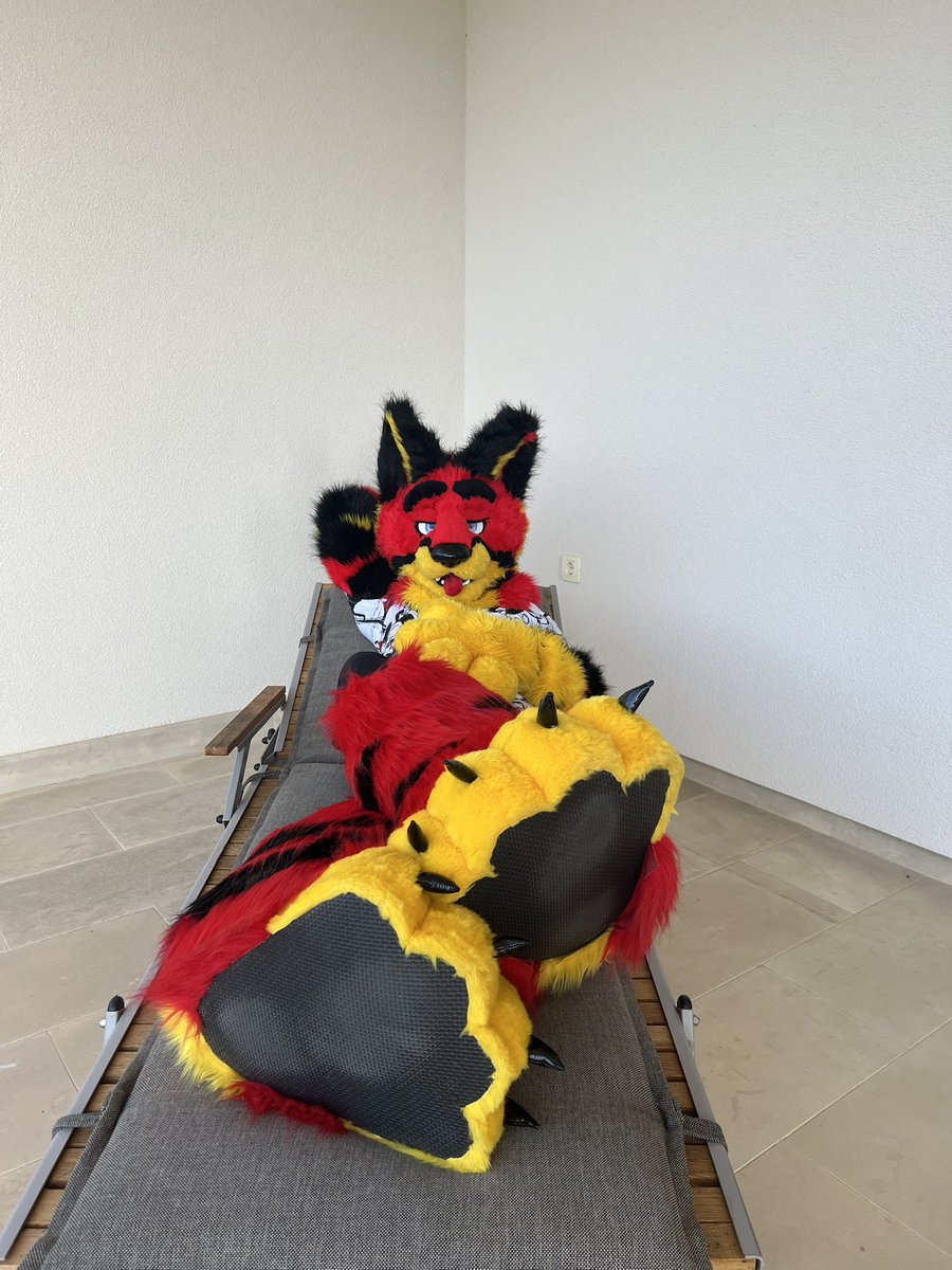 Hi there cutie
#furry #fursuit #tiger #FursuitsEveryday #fursuiter