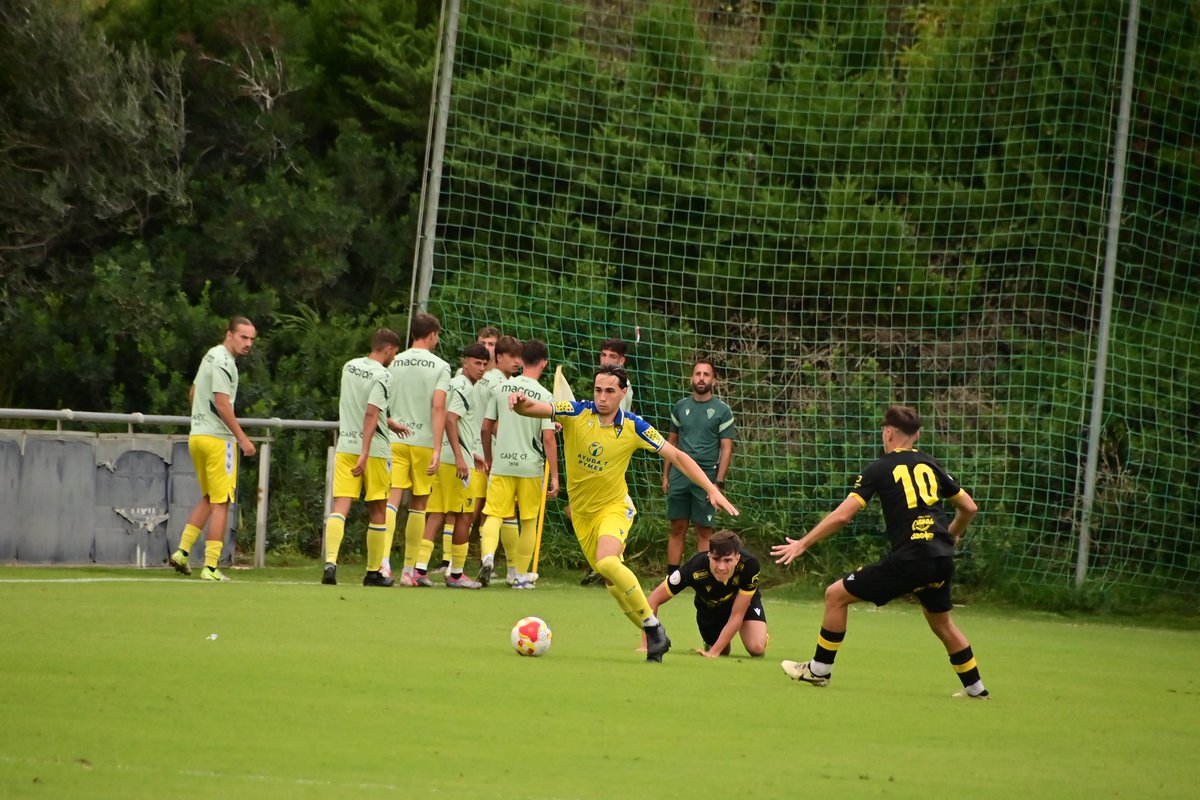 🛡️⚔️💙💛