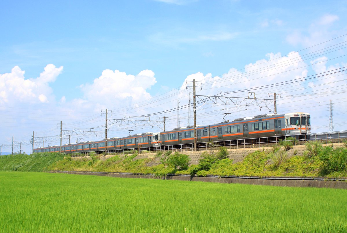 bear_rail's tweet photo. 2025/8/16
5322F 新快速豊橋行き
←Z3/Y115

夏晴れの田園風景を疾走���る逆組成です。8両の逆組成は当たり前で見慣れてきましたね。
#313系 
#JR東海 
#いいねした鉄道ファン全員フォローする https://t.co/IhIHLCohX4