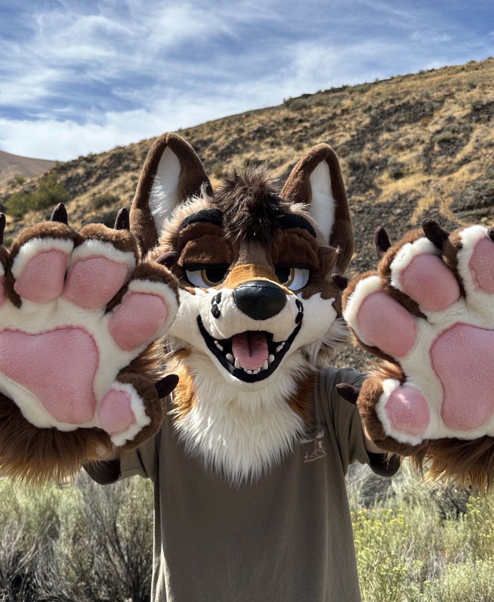 Finally in the desert where I belong :3