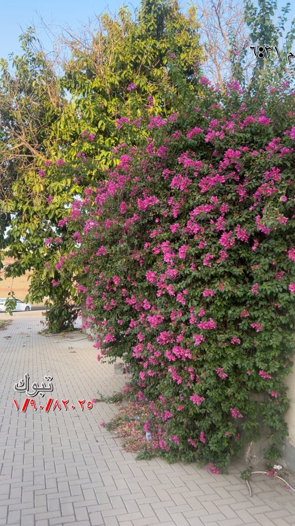 tem5500's tweet photo. #سعود_القحطاني ضع يدك في يد الذين يمنحونك الحب في كل الظروف ،،، أولئك الذين يتحملون مزاجك السيئ وتقلبات الأيام ،، هم من يحبونك بصدق 💔💔 https://t.co/V15P3dQ3A7