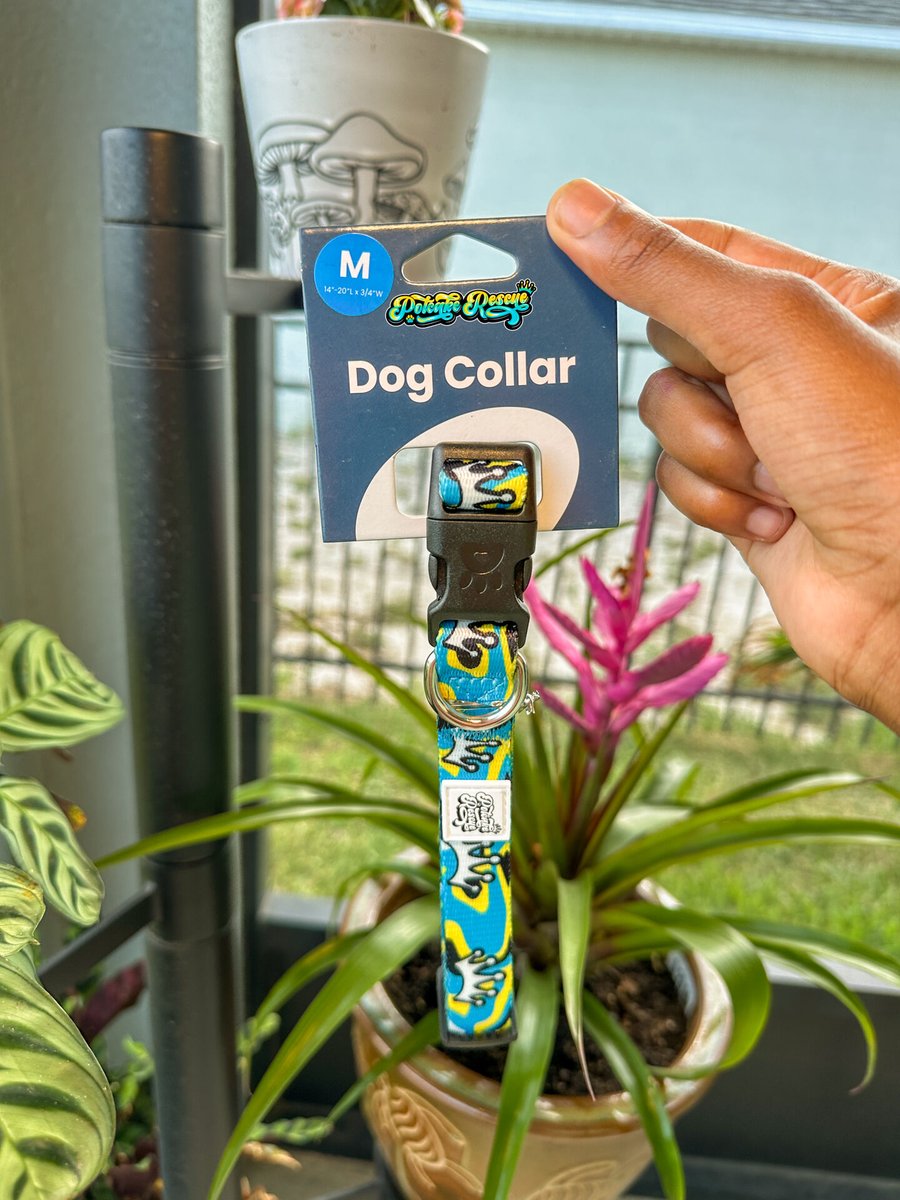 PotcakeNFT's tweet image. ✨ Potcake Rescue Collars! 🐾
Bold. Bright. Island vibes. 🌊☀️

Every purchase helps save Potcakes. 💛
👉 Shop now: potcakerescue.com/shop/p/crown-l…

#PotcakeRescue #RealImpact