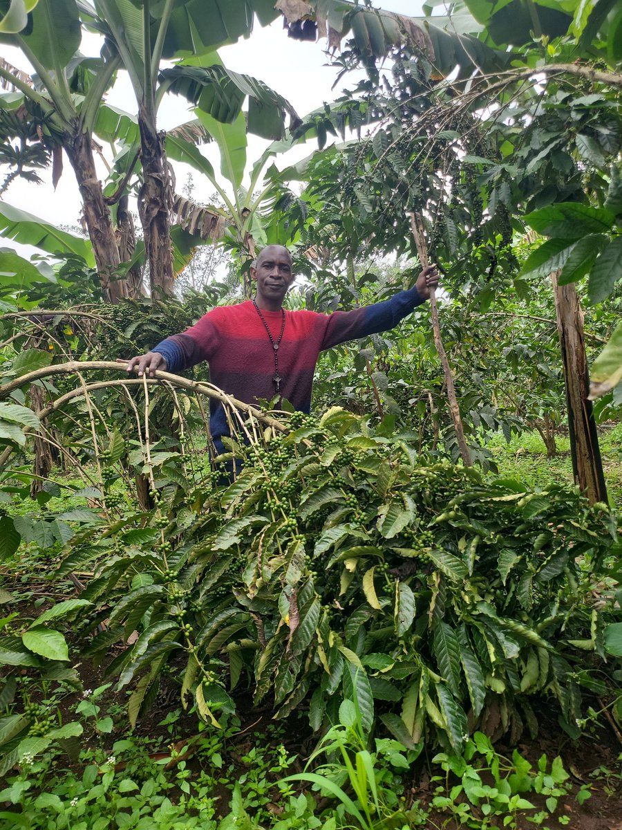 HonLuttamaguzi's tweet photo. AT CAMP LUTTAMAGUZI _KASANGOMBE -NAKASEKE.DAY WELL SPENT. https://t.co/a7Btm9eqFV