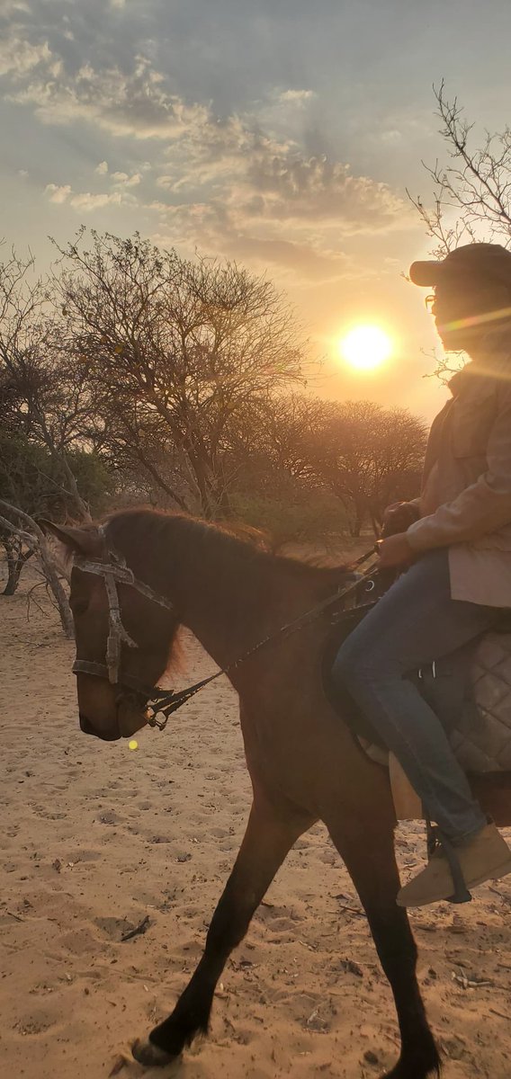 TebogoOsman's tweet photo. 🐎☀️ https://t.co/NFujE8t5JZ