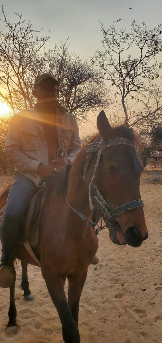 TebogoOsman's tweet photo. 🐎☀️ https://t.co/NFujE8t5JZ