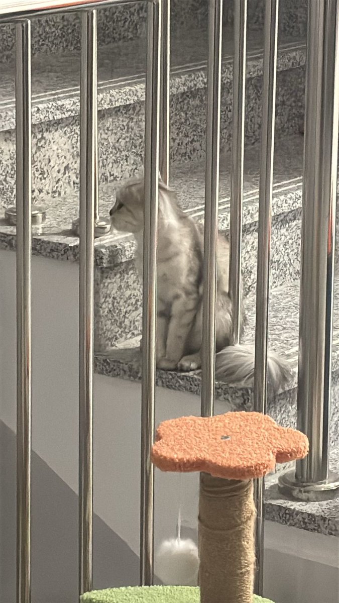 Salem Al-Zahrani tweet media