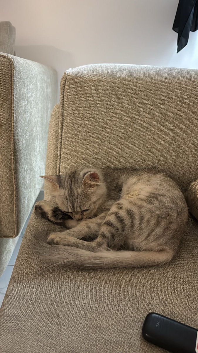 Salem Al-Zahrani tweet media