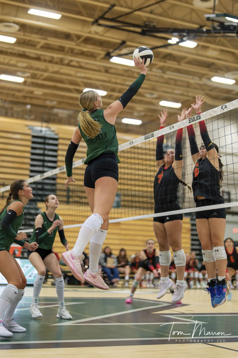 Tom Marron Photo LLC tweet media