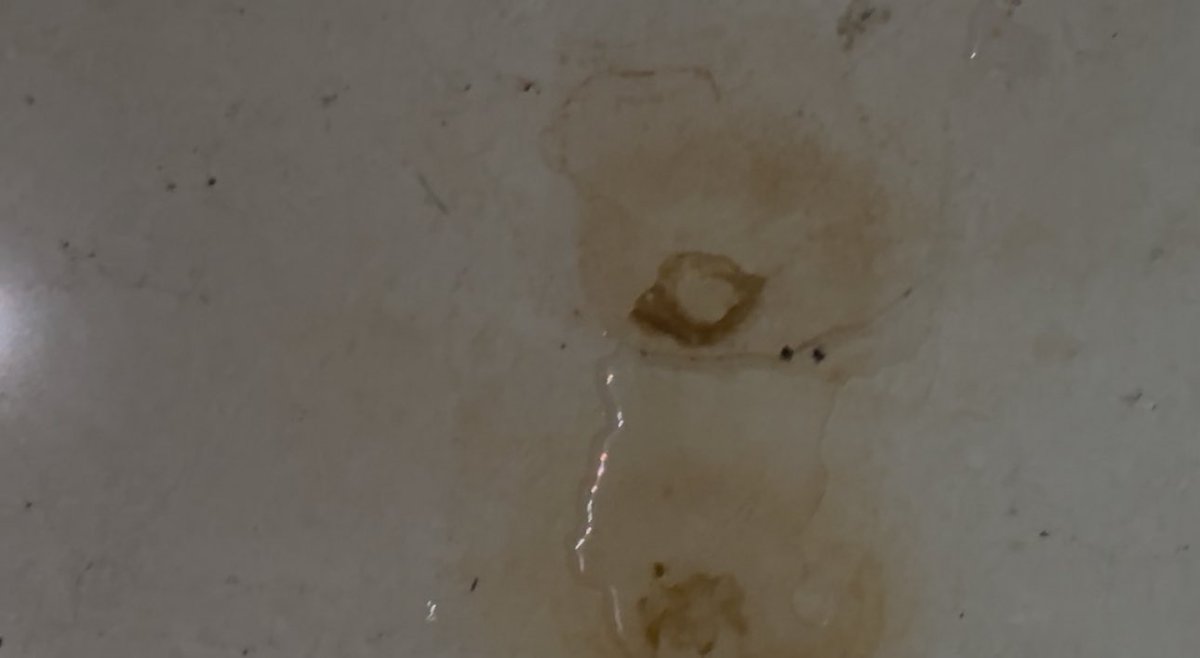 VMadhurendu's tweet photo. @IndiaHaier @HaierOfficial @jagograhakjago @nch1915 Water leaking from frozen pipes and even though all escalation done no response from the team. https://t.co/Wq34Jxp4JM