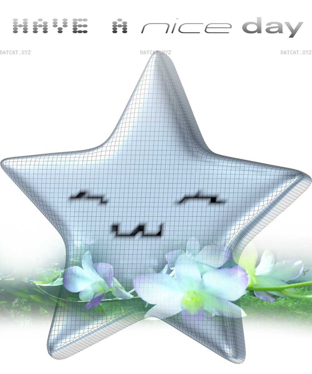 If you see this on your feed, I wish you have a nice day ☆ — gm/gn