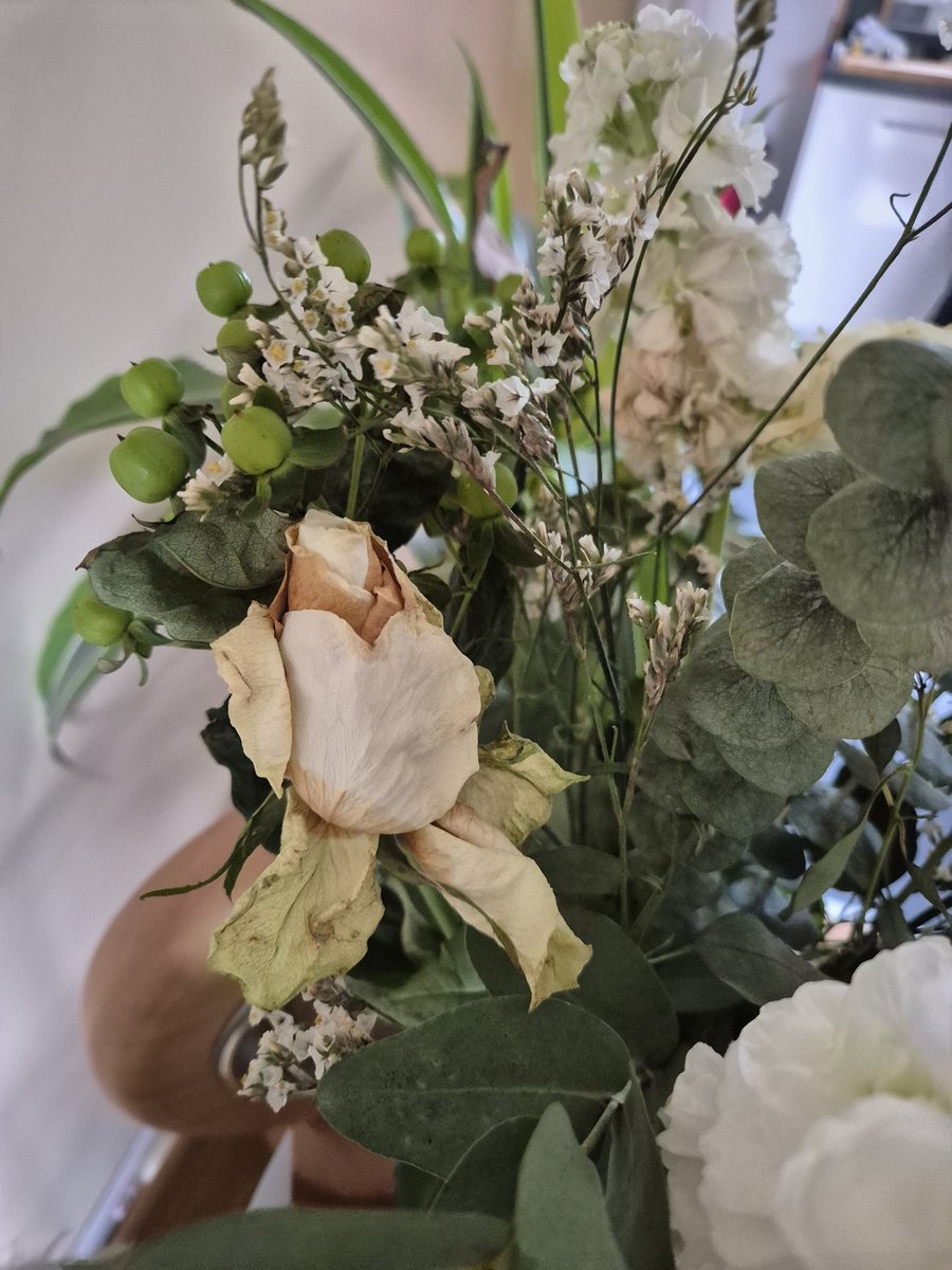 zeryx's tweet photo. I received the White Rose and Mathiola Fresh Flower Bouquet in Gift Bag on 14 August, that's just 5 days ago, following the death of a near relative. I have to say the quality is extremely poor and the flowers are already dead and dying! @nextofficial https://t.co/ntg3H840Dx