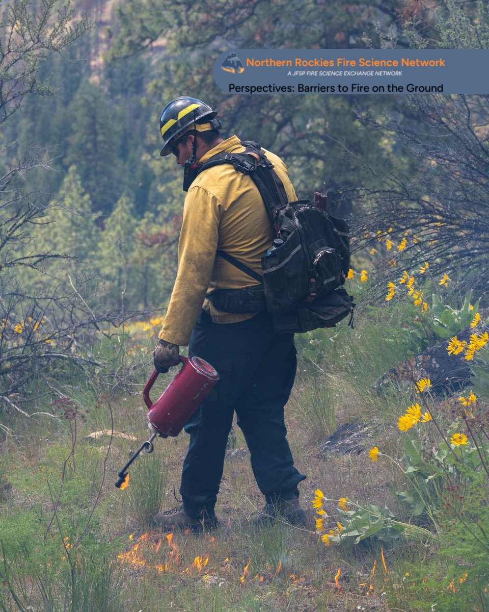 Prescribed fire is an important tool for management, but often there is a gap between desired and actual usage. We spoke to individuals with three different perspectives on this issue, exploring the barriers to implementing prescribed fire in the region: buff.ly/KzxQyWO