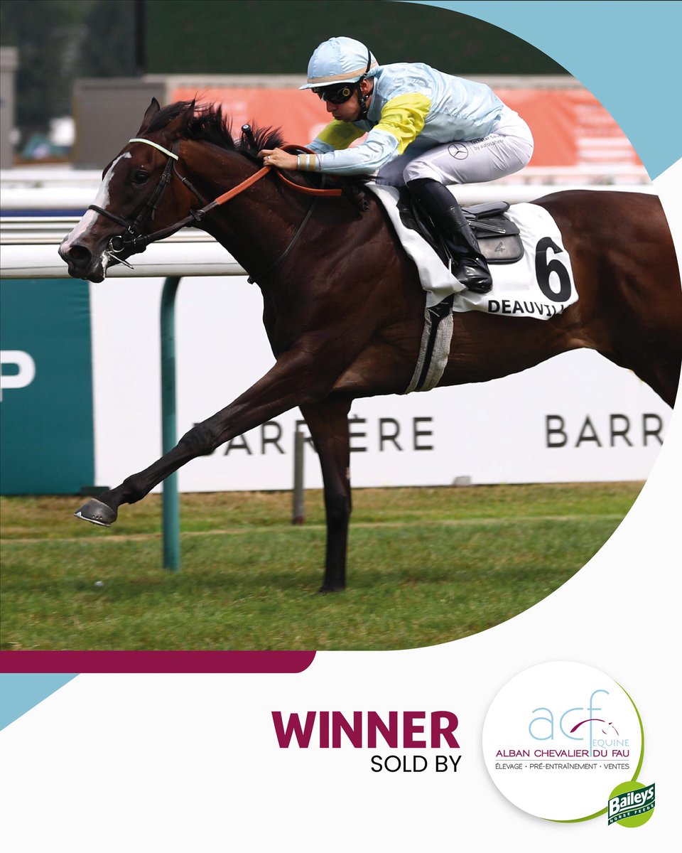 The Channel Consignment & ACF Equine tweet media