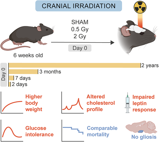 Low-to-Moderate Dosed Cranial Irradiation in Young Mice Induces Sex-Specific Metabolic Disturbances Later in Life.

Read Here➡️ doi.org/10.2337/db24-0…

<a href="/ADA_Pubs/">ADA Professional Publications</a>