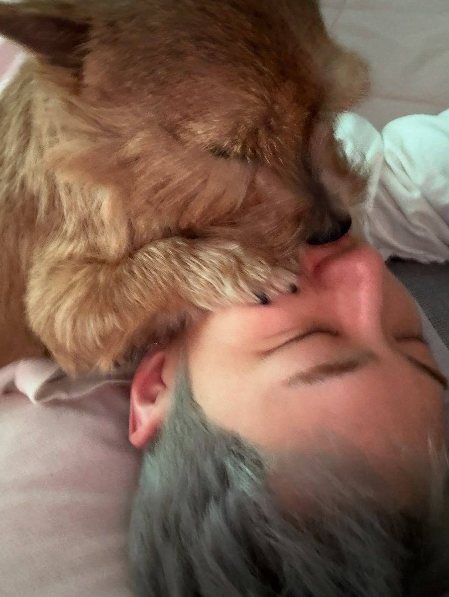 순영님 일상에 
무대, 라떼는 꼭 포함되어 있는 게 참 좋네
뚜녕  오래오래 무대하면서 라떼랑 행복하거라~ 🫰🏻🫰🏻