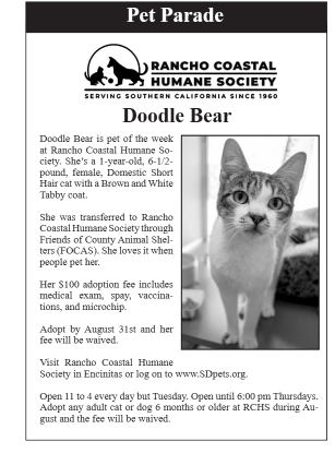 Don't get a pet. Get YOUR pet. That's the Critter Corner in the latest issue of The Paper. A terrific cover story about National Dog Month. And Rancho Coastal Humane Society's pet of the week in the latest issue of The Paper. Please Share. issuu.com/thepaper01/doc…