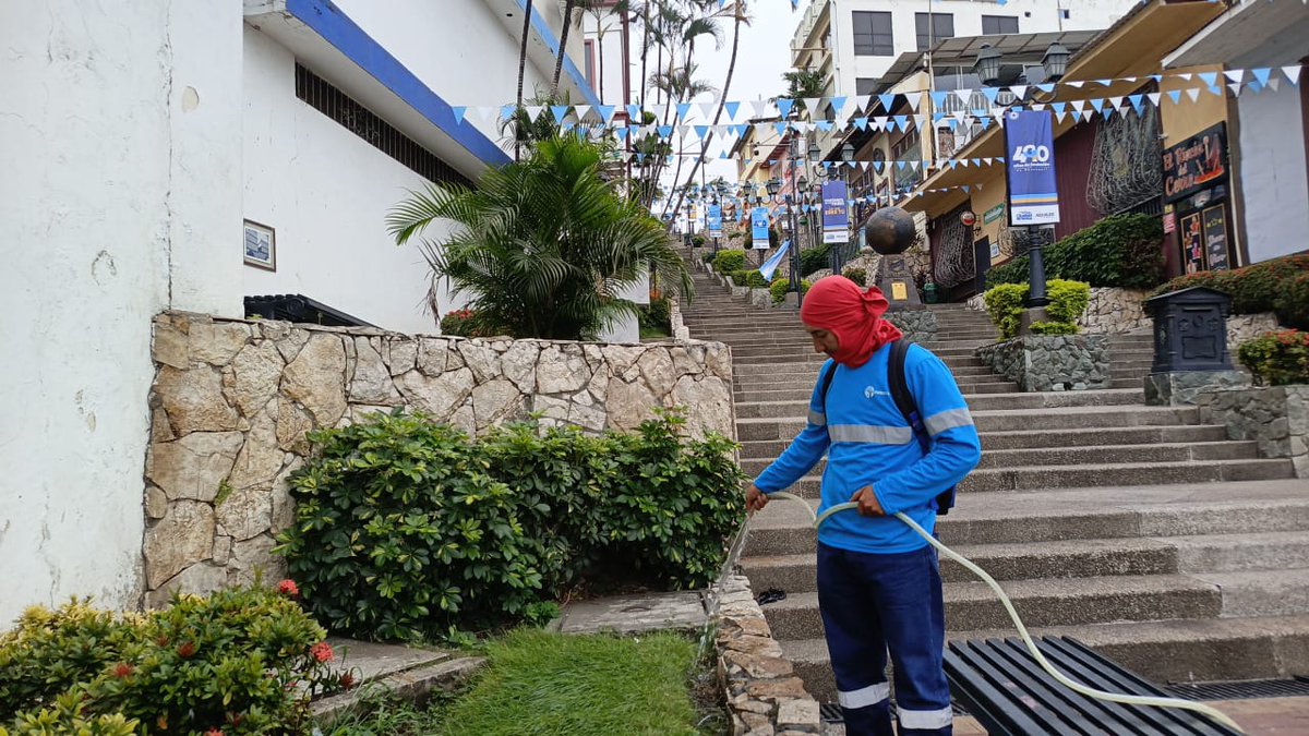 parquesgye's tweet photo. 📍Intervenimos puntos estratégicos del centro y zonas turísticas con poda, riego y limpieza: Cerro Santa Ana, Cerro del Carmen, Panamá y Rocafuerte. Cuidar la ciudad es también dignificar sus espacios. #CiudadDetodos #Guayaquil #ParquesEP @alcaldiagye @aquilesalvarez https://t.co/93uME2Ku45