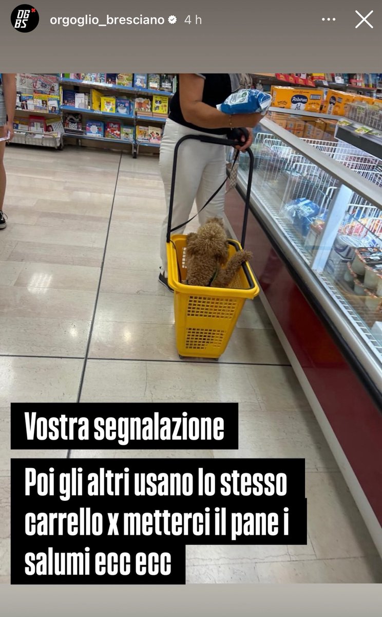 E voi cosa ne pensate?