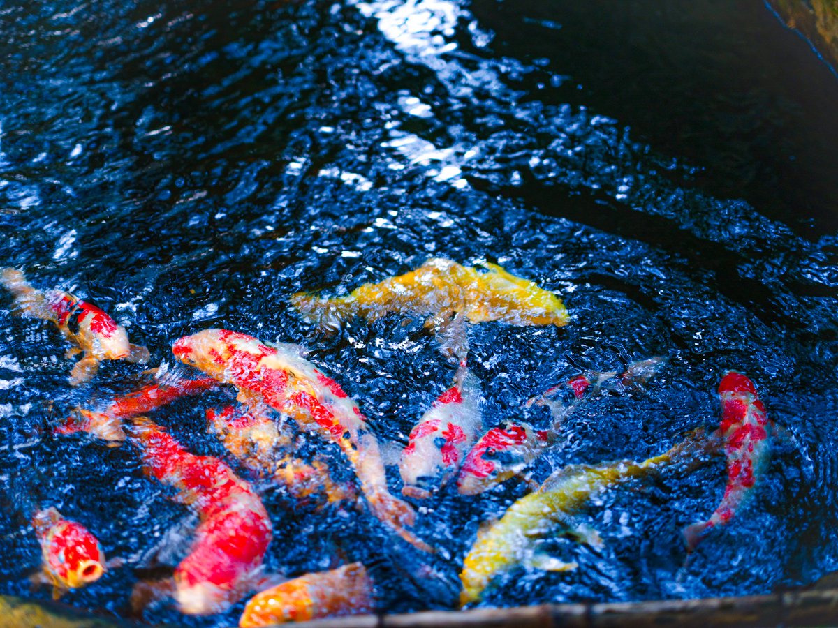 カメラのデータ半分吹き飛んで死にそう
保険の保険で携帯に移したデータしかない．．．