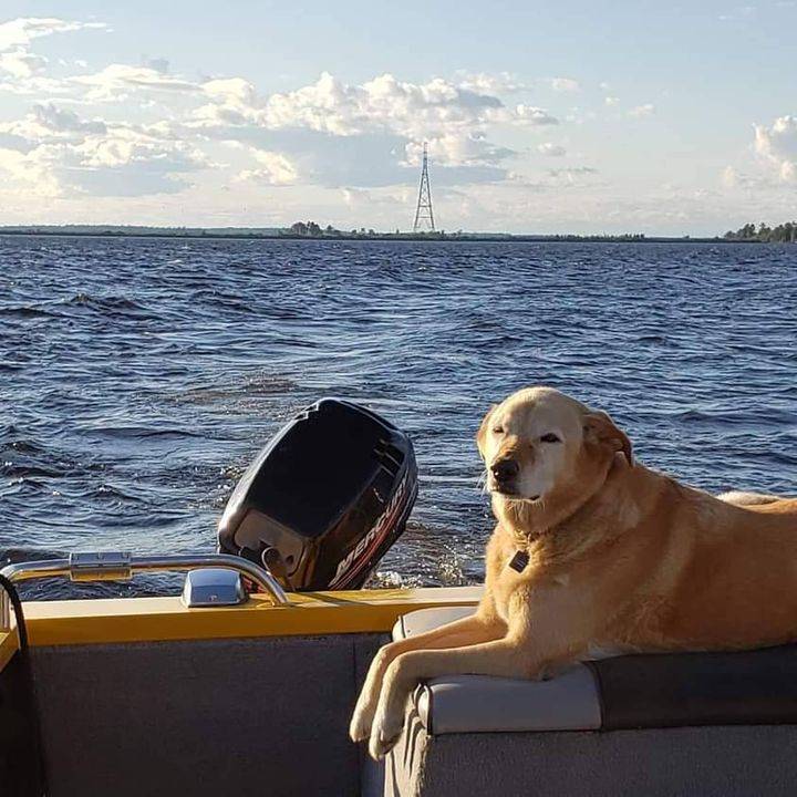 VoyageursOut's tweet photo. We're entering the dog days of summer. The water is warm, the sky is clear, and the bugs are gone. What's your favorite summer adventure? Share your thoughts in the comments! Your adventure is out there... #findyourpark #YourAdventureIsOutThere #rainylake https://t.co/UUnxrAlvr6