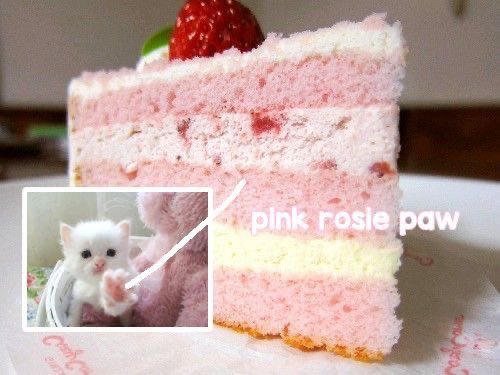 may🦇 (@maycherriesz) on Twitter photo 