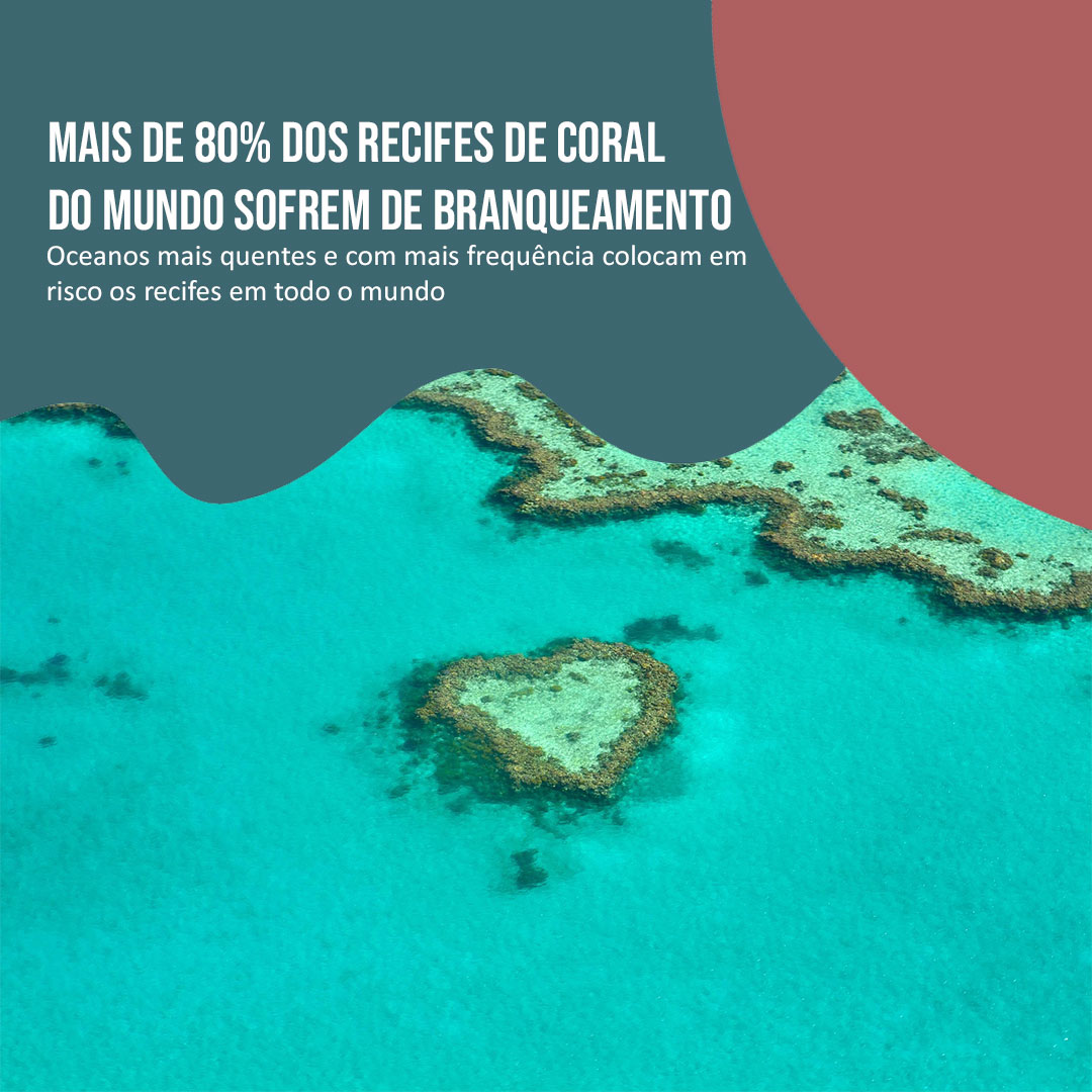 Mais de 80% dos recifes de coral do mundo sofrem de branqueamento
Oceanos mais quentes e com mais frequência colocam em risco os recifes em todo o mundo

Veja: pick-upau.org.br/agencia_notici…

Conheça: euoceano.org.br
<a href="/nacaomitsubishi/">Mitsubishi Motors BR</a> 
<a href="/mundomit/">Mundo MIT</a>