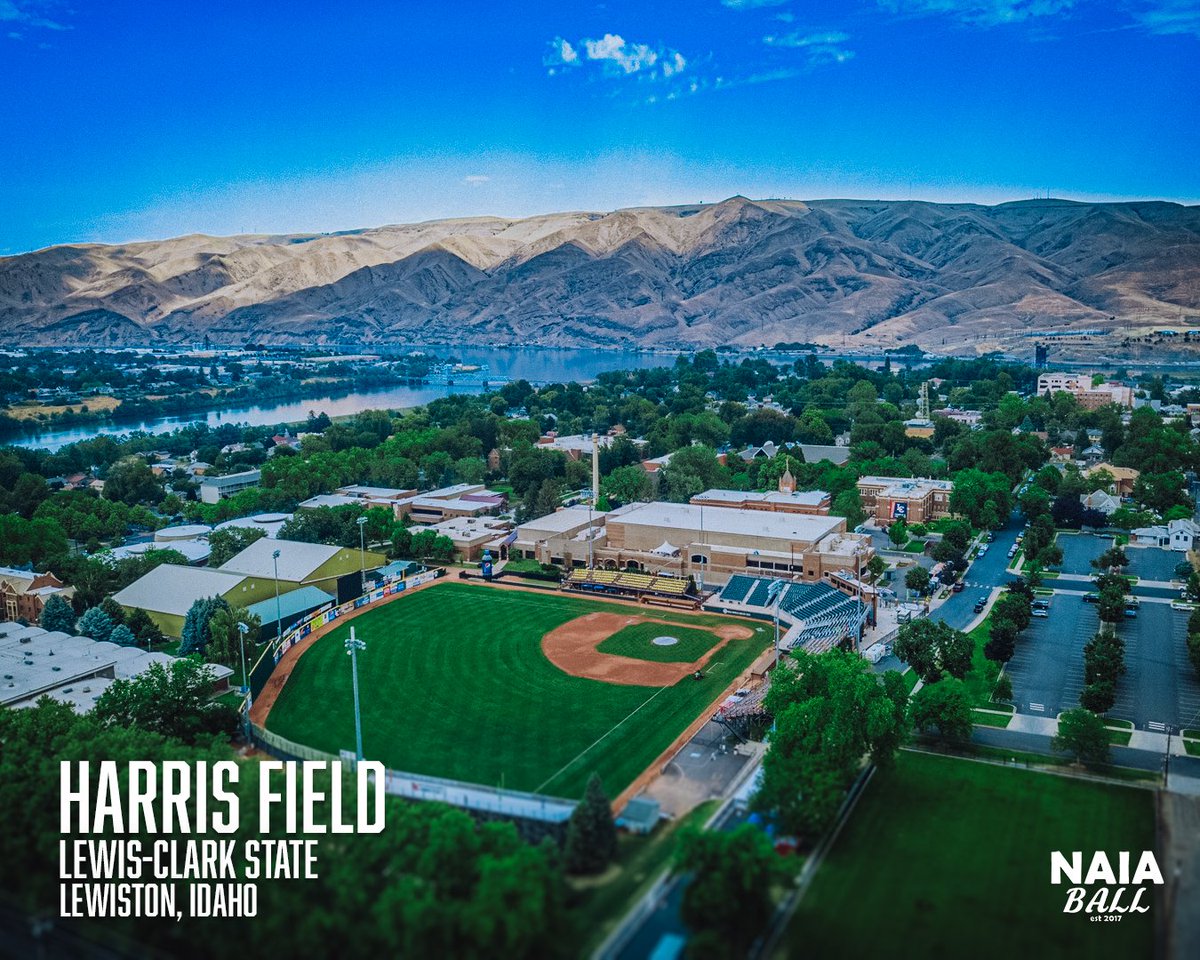 NAIA Ball tweet media