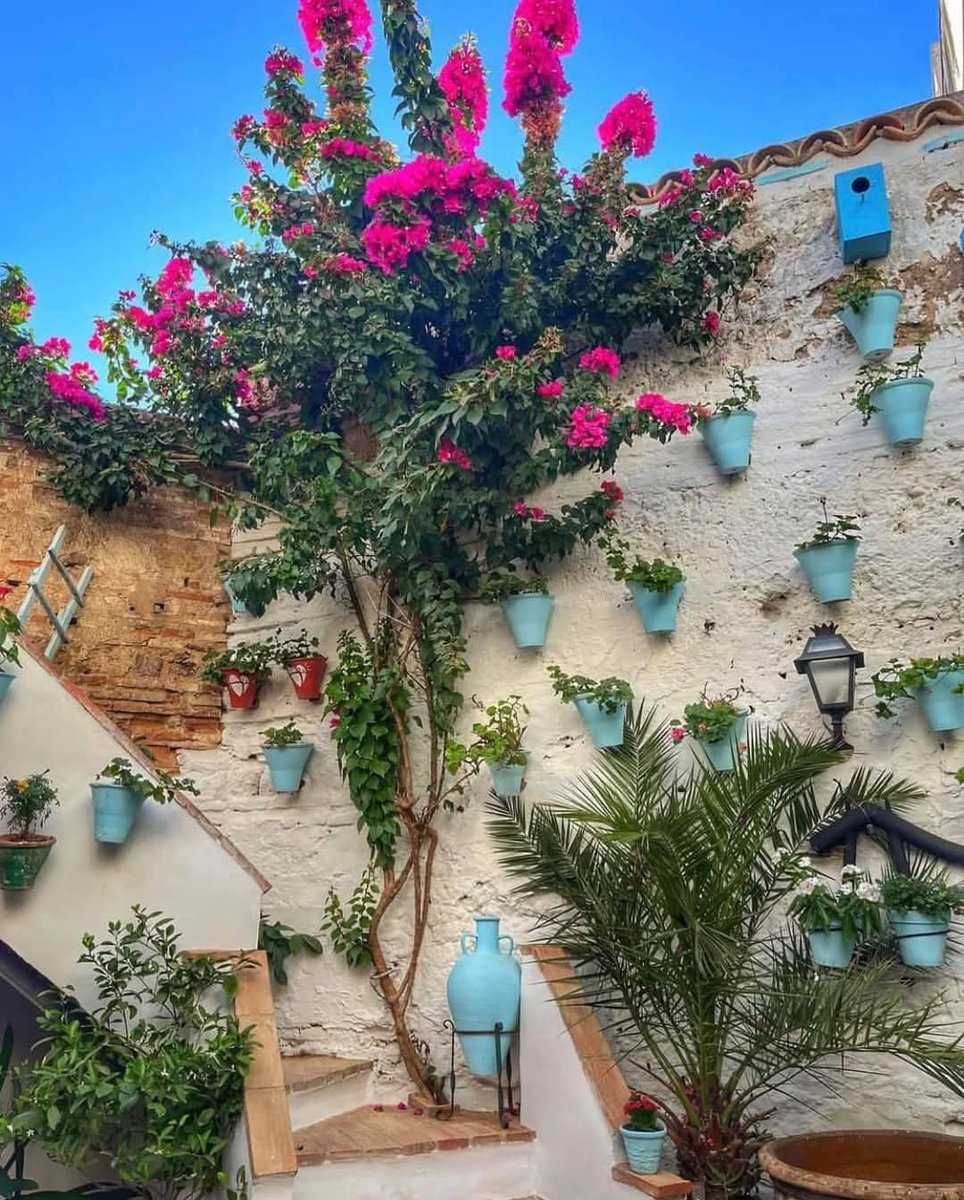 mosa_alktaifan's tweet photo. عن جمالها نحكي و عن فقدانها نبكي...الأندلس.
We talk about its beauty and we cry about its loss...Andalusia. https://t.co/4YSku8Lazg