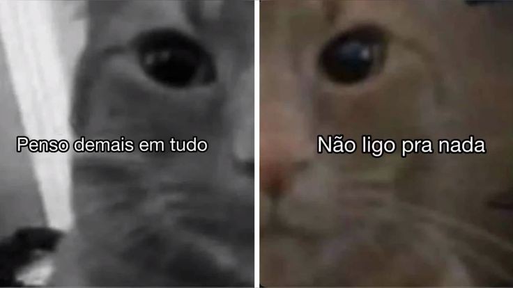 autoestimaposts's tweet image. 
