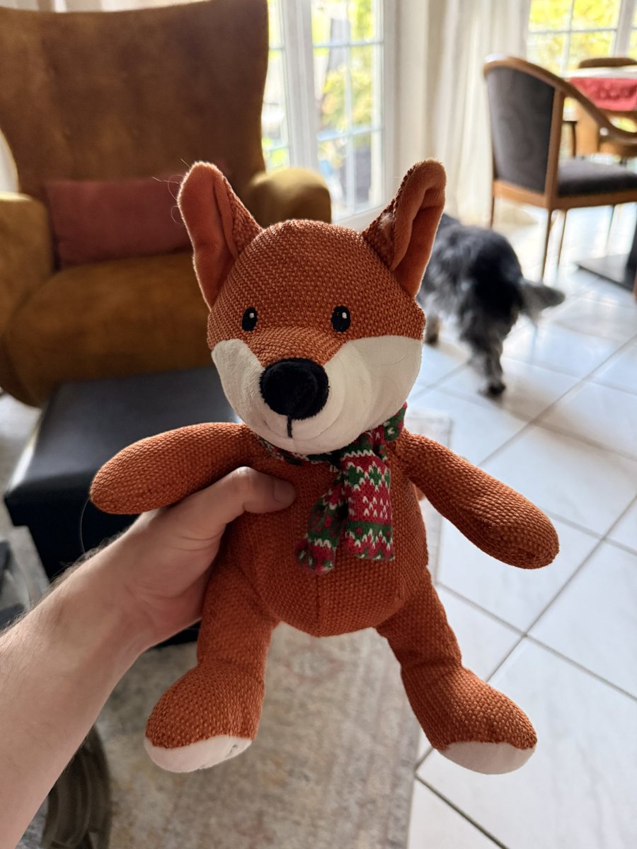 Bin gerade bei meinen Eltern und das ist das neueste Spielzeug vom Hund?! 

Das ist ja quasi Misshandlung von Füchsen!😂