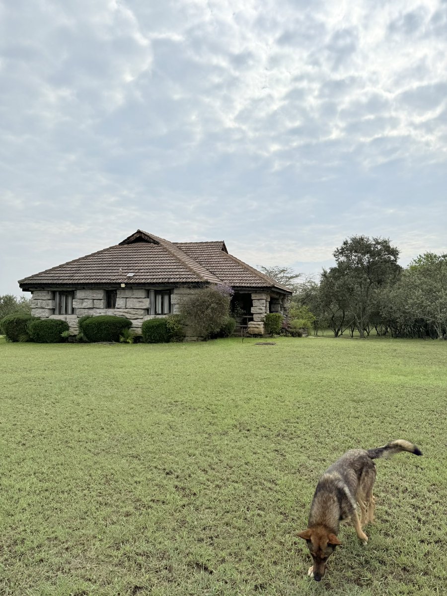 Properties 360 tweet media