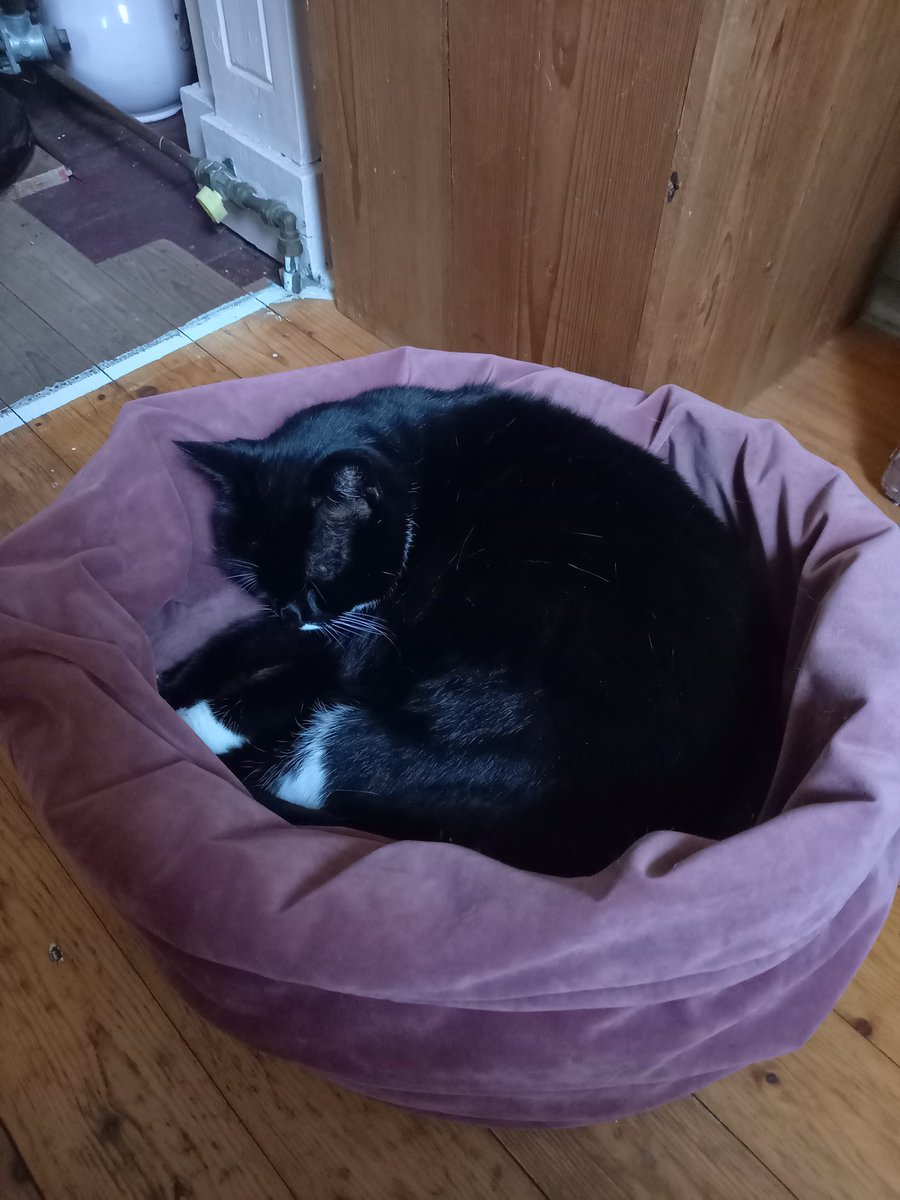 Iena Redeker tweet media