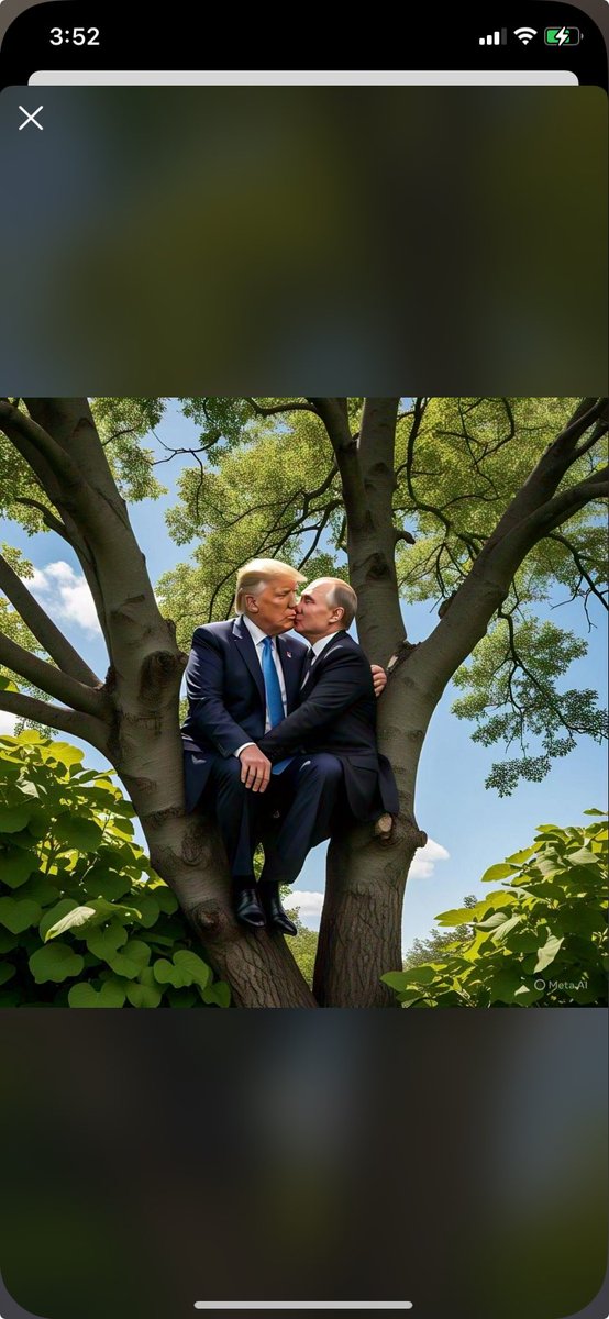 Bee VB 🇩🇪🇺🇸🇺🇦🟦 💙Democrat for Life 💙 (@vanbeberbee) on Twitter photo 