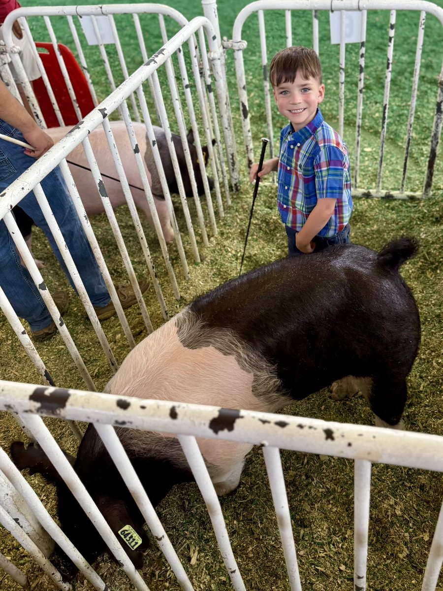 Phil Barnett tweet media