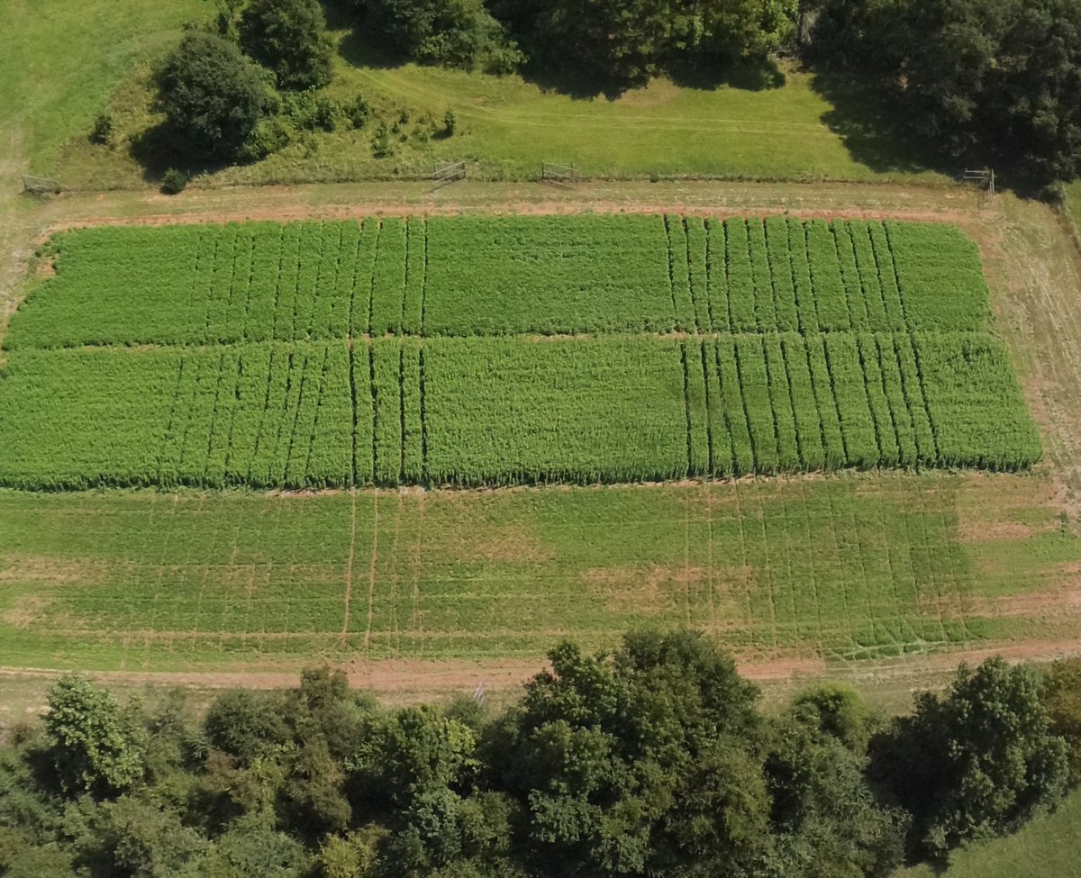 Eros Francisco tweet media