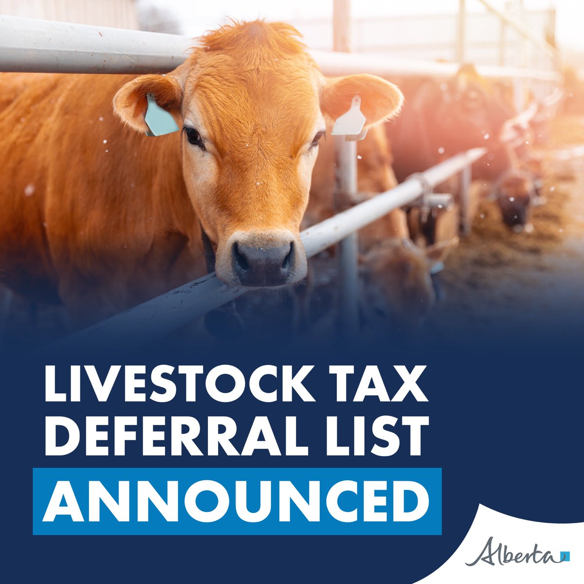 I am pleased that the federal government has  released the preliminary list of designated regions for the 2025 Livestock Tax Deferral. We have been advocating for this release for months, emphasizing the urgent need for producers to have clarity so they can make informed