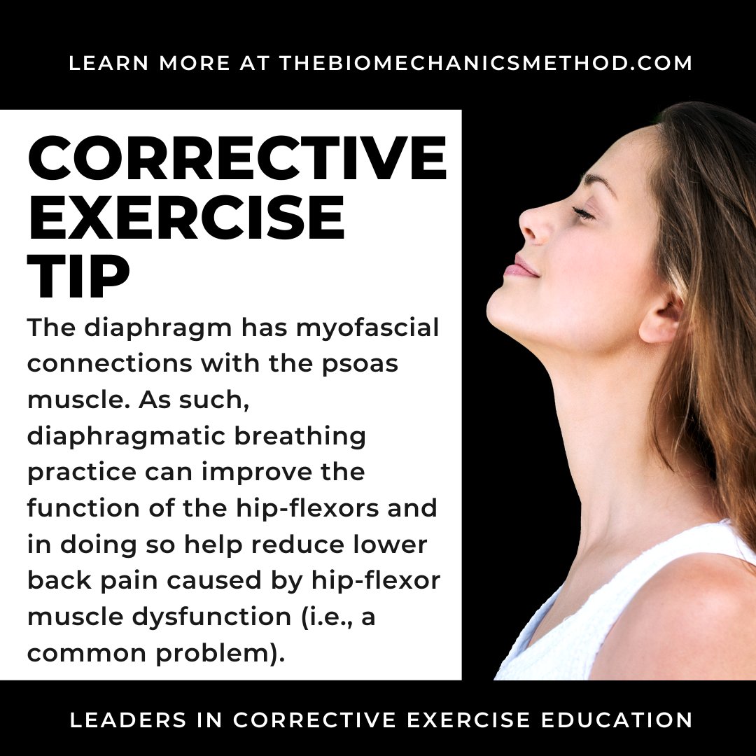 Here's a physiological link between #stress and #LowerBackPain. If you are #stressed and not #breathing correctly, then your #hipflexors may be tight, pulling on your lower back causing pain.