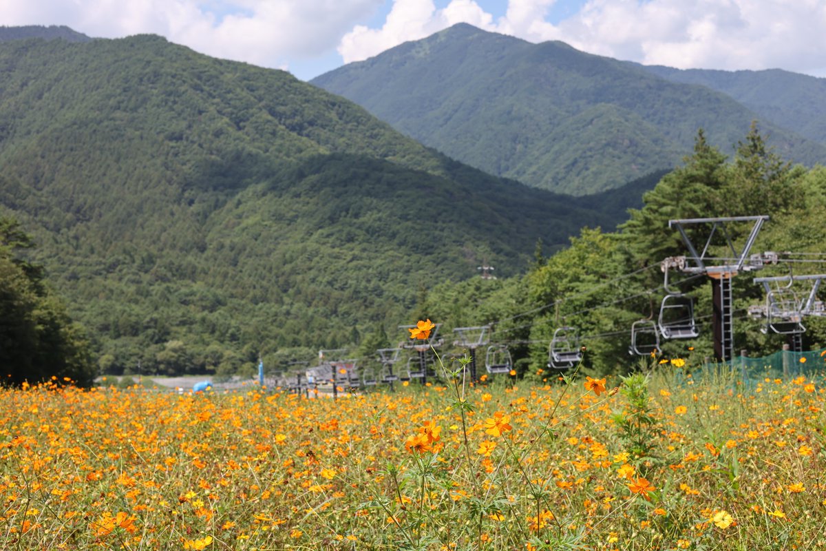 おはようございます。